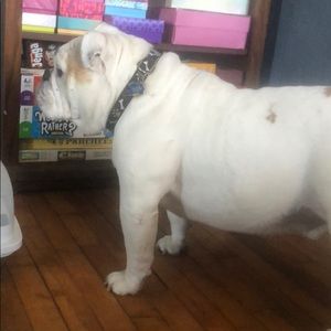 Meet your Posher, Mark